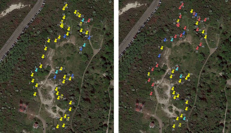 Voorkomen Nauwe korfslak. Links: nul-meting (T0) in 2019, rechts resultaten van eerste herhalingsonderzoek (T1). Geel: geen Nauwe korfslakken waargenomen; lichtblauw: oude huisjes; donkerblauw: verse huisjes; rood: levende slakken. Monitoringlocaties 1 t/m 25 liggen in het adoptiegebied. Locaties 26 t/m 50 liggen in het controlegebied