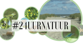 #24uurnatuur
