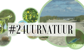 SoortenNL #24uurnatuur