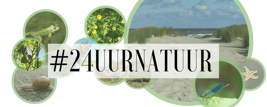 #24uurnatuur