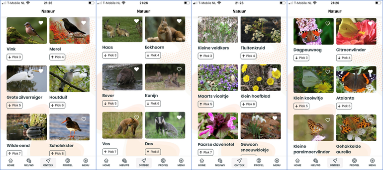 Top 3 tot en met 8 van meest waargenomen vogels, zoogdieren, planten en dagvlinders in Nederland in de twee weken voor 19 maart 2021