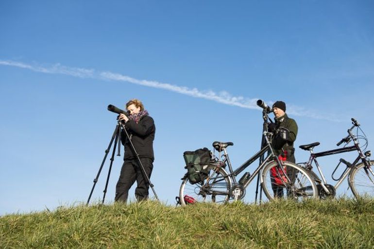 Vogelaars in actie