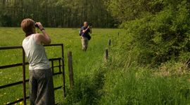 Vogelaars - primaair