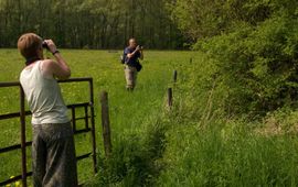 Vogelaars - primaair