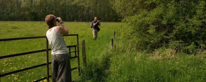 Vogelaars - primaair