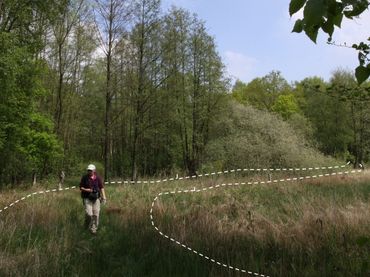 In het Meetnet Vlinders wordt wekelijks een route van vijf meter breed geteld