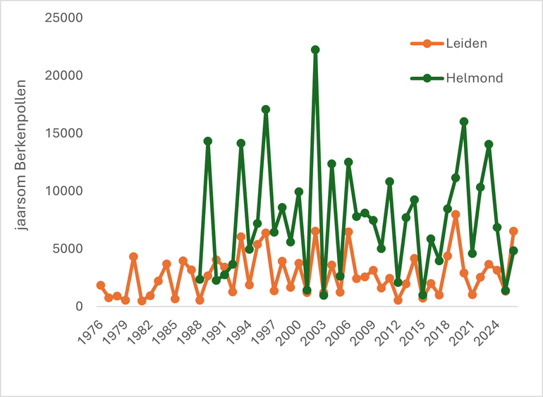 Jaarsom berkenpollen sinds 1975 in Leiden en Helmond