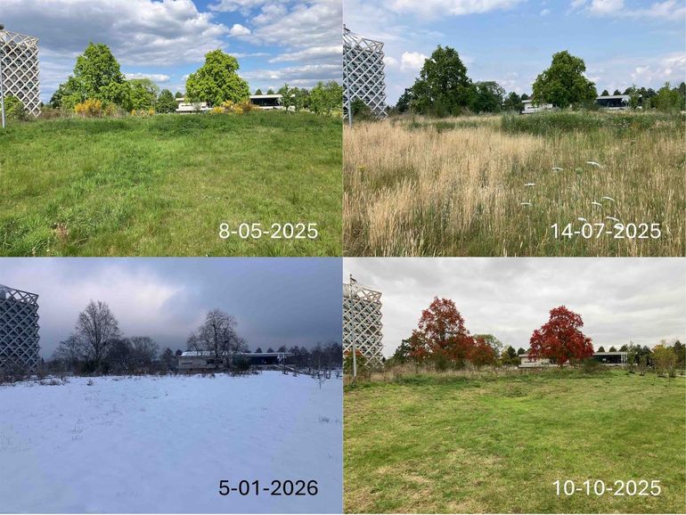 Landschapstuin NL2120 met op de achtergrond het Omnia- en Atlasgebouw