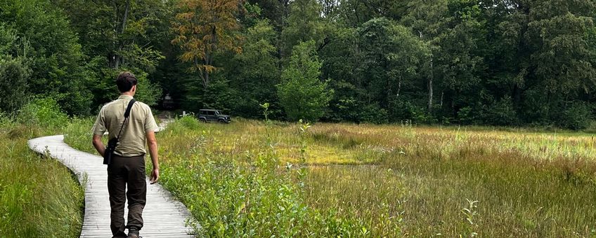 Landgoederen in de luwte van de Veluwe