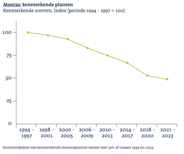 Kijk je naar de kenmerkende planten van moeras, dan gaan deze achteruit