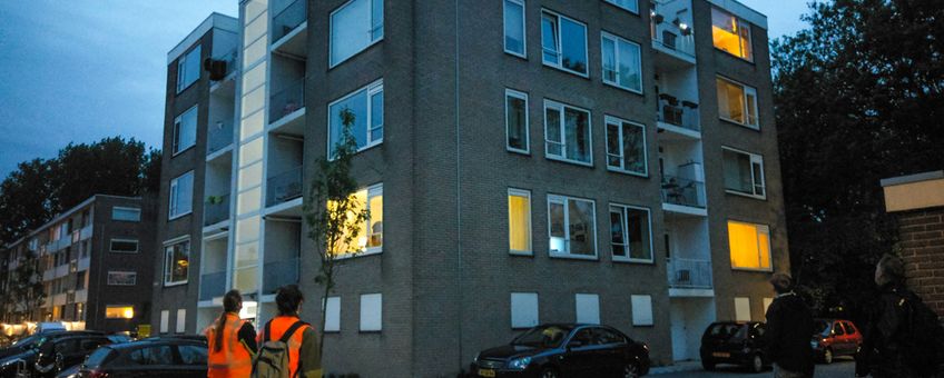 Vleermuizen wonen in allerlei soorten gebouwen, van rijtjeshuis tot flats