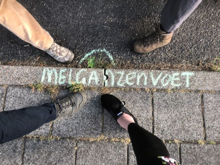 Raising awareness on urban flora with pavement chalking