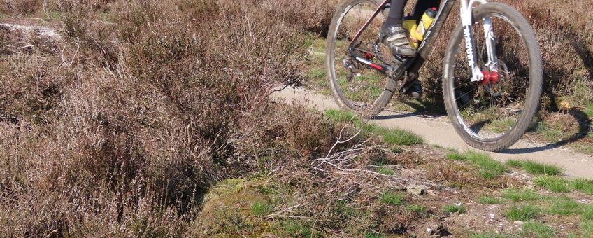 Op de Sallandse Heuvelrug zijn MTBroutes, voor een optimale natuurbeleving en afwisseling, dwars door het leefgebied van kwetsbare reptielen aangelegd.