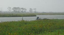 Tiengemeten, een van de belangrijke kerngebieden in de Biesbosch Rijn-Maas Delta.