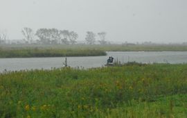 Theo van der Sluis Tiengemeten, een van de belangrijke kerngebieden in de Biesbosch Rijn-Maas Delta.