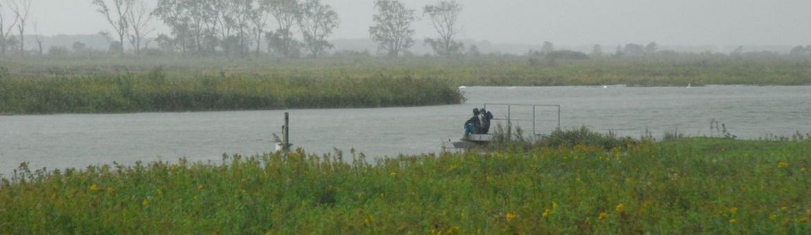 Tiengemeten, een van de belangrijke kerngebieden in de Biesbosch Rijn-Maas Delta.