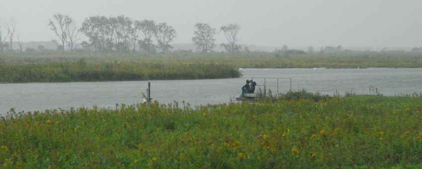 Tiengemeten, een van de belangrijke kerngebieden in de Biesbosch Rijn-Maas Delta.