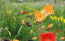 Cecile van Wezel / NIOO-KNAW 10e editie Bodemdierendagen: 10 voor de bodem!