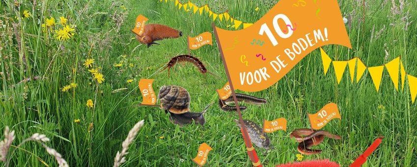 10e editie Bodemdierendagen: 10 voor de bodem!