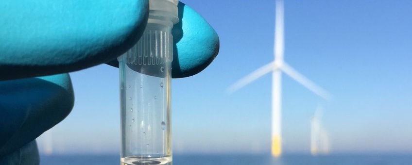 eDNA-materiaal verzamelen in windparken