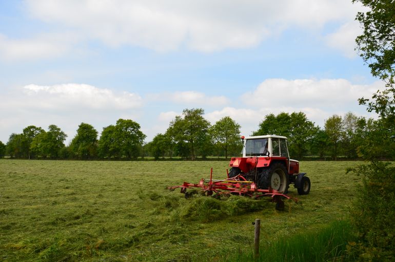 Enkele landbouwgebieden in Friesland, waar kleine landschapselementen vaak nog aanwezig zijn, speelden een belangrijke rol in de publicatie en werden grondig onderzocht door Hilco Meijer