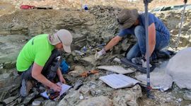 Naturalis is digging for dinosaurs at the Jurassic Mile in Wyoming (USA)
