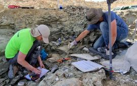 Simone Ros Naturalis is digging for dinosaurs at the Jurassic Mile in Wyoming (USA)