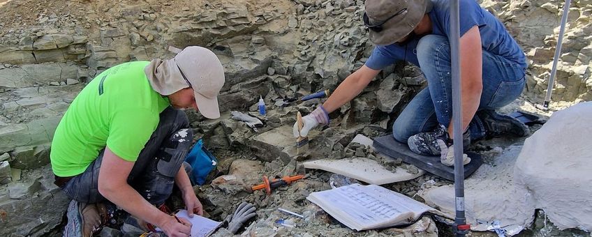 Naturalis is digging for dinosaurs at the Jurassic Mile in Wyoming (USA)