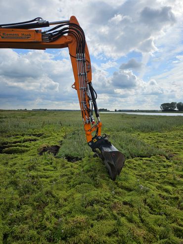 Het doorbreken van de dominantie van watercrassula waarna plaggen met inheemse vegetatie worden ingebracht 