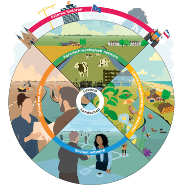 De verschillende pijlers die samen Levend Landschap vormen