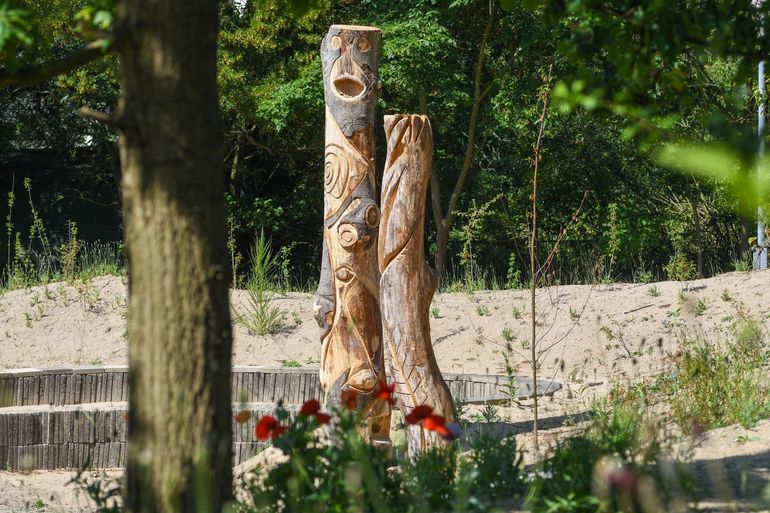 Ons PWN-leerteam heeft insectentotems van de kale beukenstammen in het duin gemaakt