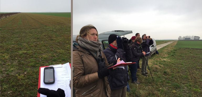 Vrijwilligers en medewerkers protocolleren jaaggedrag van een muizenetende roofvogel in akkerland