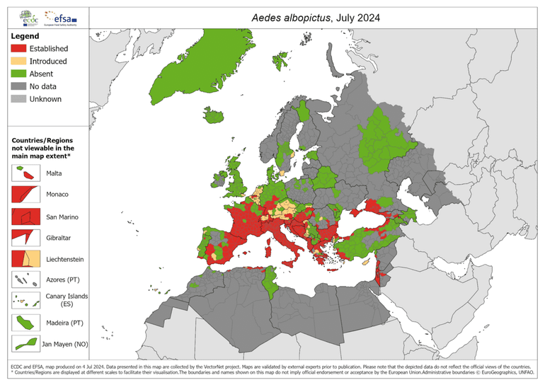 Gebieden in Europa waar de tijgermug zich in juli 2024 gevestigd heeft (rode kleur), waar hij in het verleden gezien is (oranje kleur) en waar hij nog nooit aangetroffen is (groene kleur). Van de grijze gebieden is er geen informatie bekend