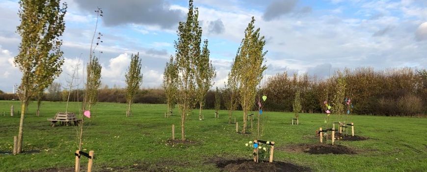 Maria Informeer Niet meer geldig Nature Today | KinderBomenBos: plant een boom voor een kind