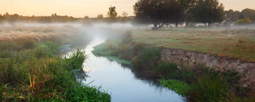 Tongelreep Patersgronden