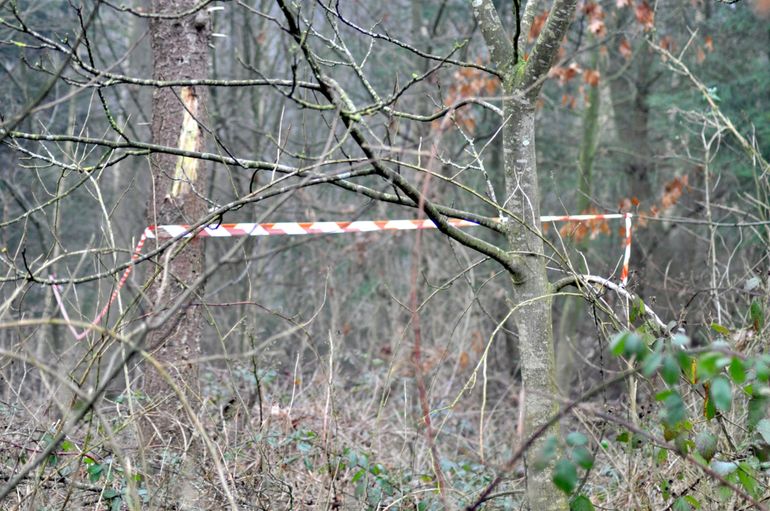 Afzetting rond een dassenburcht in het Wehlse bos