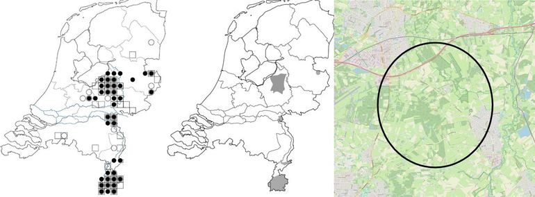 Verspreiding vliegend hert. Links: oude verspreiding (vierkant: voor 1950; cirkel: 1950 tot 1980 en stip: na 1980). Midden: huidige leefgebieden. Rechts: het mogelijk nieuwe leefgebied in Twente, tussen Oldenzaal, De Lutte en Losser