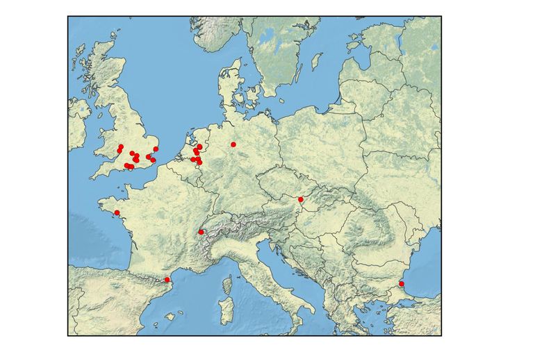 Waarnemingen van de goudfranjedwergmot (Bohemannia auriciliella) in Europa
