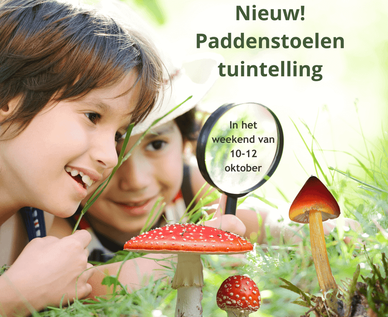 Paddenstoelentuintelling