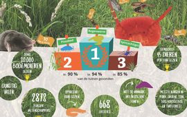 infographic bodemdierendagen 2024