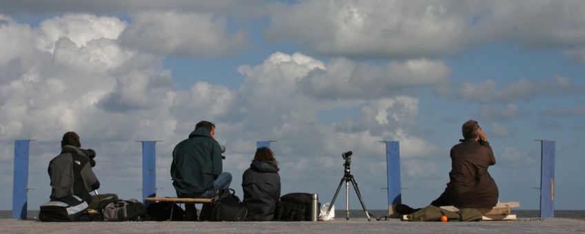 Zeetrektellers kijken over zee op Schiermonnikoog