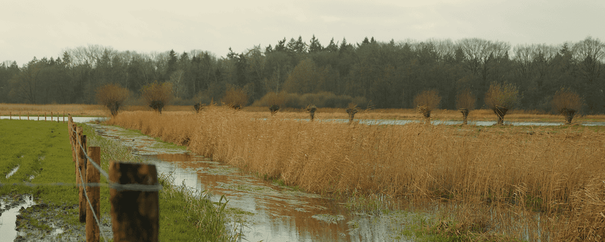 Bossche Broek Zuid 6 december 2024