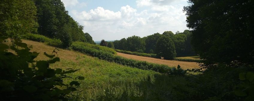 De stuwwal van Nijmegen; ooit kwam Berghertshooi hier voor.