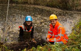 Het eerste verzamelde meerkoetnest in Vijfsluizen door hoogleraar Barbara Gravendeel van Naturalis Biodiversity Center en senior adviseur ecologie Vincent Nederpel van Heijmans voor onderzoek naar het effect van zwerfafval.