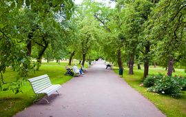 Shutterstock Park, bomen