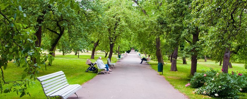 Park, bomen