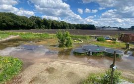 Nat middenterrein Ecodorp Boekel