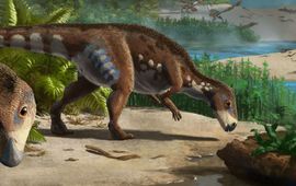 Peter Nickolaus VOOR EENMALIG GEBRUIK Bewoners van het 'eiland van de dwergdinosauriërs' gelegen in het huidige Transylvanië tijdens het Krijt: Transylvanosaurus met schildpadden, krokodillen, grote pterosauriërs en andere dwergdinosauriërs