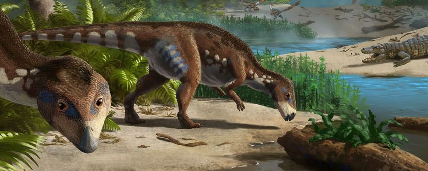 Bewoners van het 'eiland van de dwergdinosauriërs' gelegen in het huidige Transylvanië tijdens het Krijt: Transylvanosaurus met schildpadden, krokodillen, grote pterosauriërs en andere dwergdinosauriërs