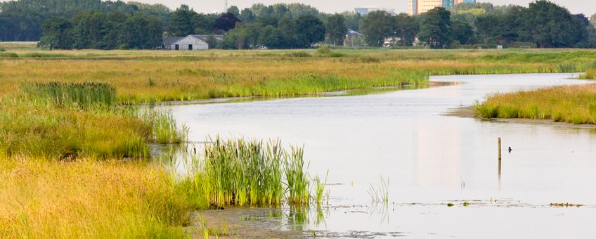 Klimaatbuffer Onlanden bij Groningen